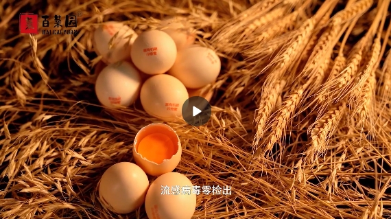 &#38886;&#24503;&#32593;&#31449;&#45;&#65288;&#20013;&#22269;&#65289;&#26377;&#38480;&#36131;&#20219;&#38886;&#24503;&#32593;&#31449;
